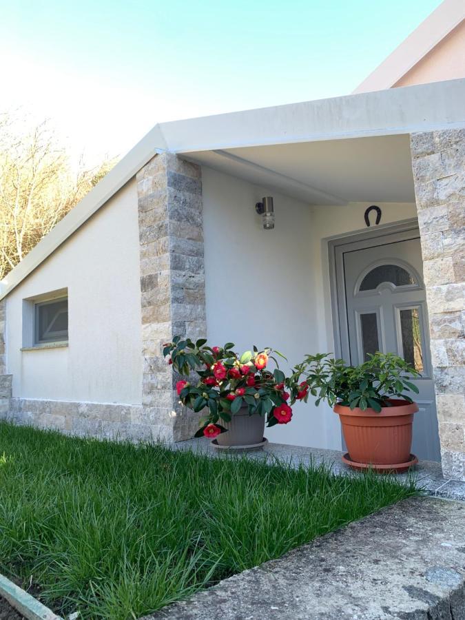 Markovic Village Apartments Ulcinj Exterior photo